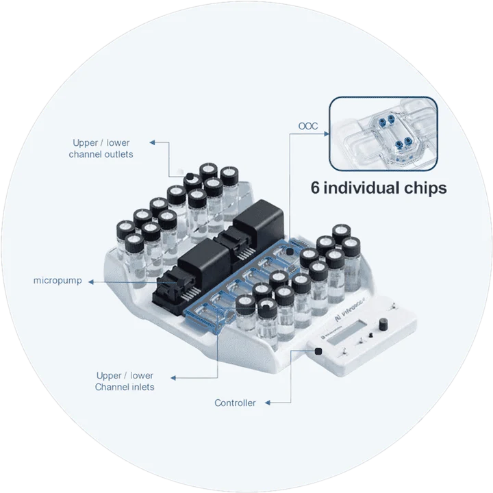 MPS-LITE six-chip fluidics configuration